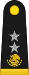 Brigade General