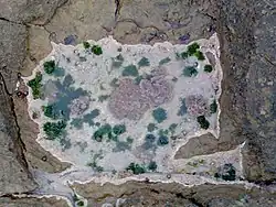 A tidal pool in the intertidal zone during low tide, Sunrise-on-Sea, South Africa