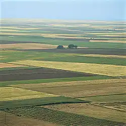 Sown fields in an open field system of farming