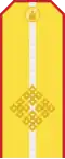 Mongolian Army-Captain-parade 1990-1998