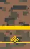 Mongolian Army-PFC(v)-field