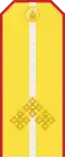 Mongolian Army-Senior lieutenant-parade 1990-1998