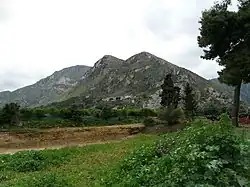 Mount Griffith from Brancaccio