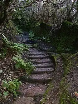 Las Vueltas Road in Taganana