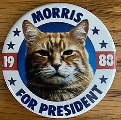 A button with a picture of an orange cat's face on it. Around the cat are the words "Morris For President" and the year "1988".