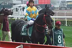 Race horse with uniformed rider and team member behind horse