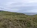 Mynydd Bach round cairn in the foreground, with Barclodiad y Gawres on the skyline