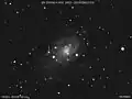 Supernova 2004dj in NGC 2403