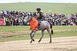 Rider during Naadam festival in Ulaanbaatar