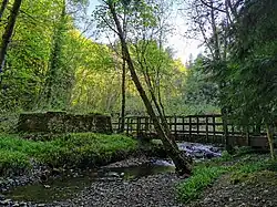 Footbridge crossing the stream