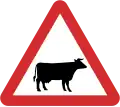 B26: Cattle ahead