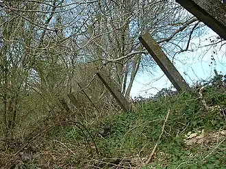 Anti-tank posts each about 8 inches (20 cm) square and projecting about 6 feet (1.8 m), made from reinforced concrete, at the top of the eastern side of a steep railway cutting. They were intended to stop enemy tanks climbing the steep side of the cutting.