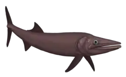 Life restoration of Ohmdenia