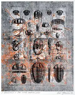 Derealization of Barrandien, structural monotype, 2002