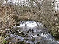 Old weir at Lenziemill