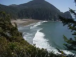 The sand beach at Oswald West State Park's Smuggler Cove; more than 50 surfers are visible (at full image resolution)