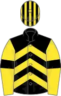 BLACK and YELLOW CHEVRONS, yellow sleeves, black armlet, black and yellow striped cap