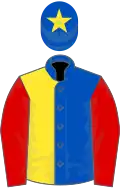 Royal blue and yellow halved, red sleeves, royal blue cap, yellow star