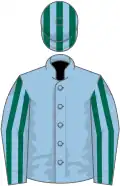 Light blue, dark green striped sleeves and cap