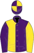 Purple and yellow halved, sleeves reversed, quartered cap