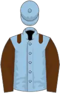 Light blue, brown epaulets and sleeves
