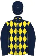 Dark blue and yellow diamonds, dark blue sleeves and cap