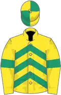 Yellow, emerald green chevrons and armlets, quartered cap