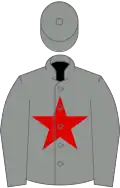 GREY, red star, grey cap
