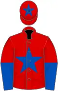 Red, Royal Blue star, halved sleeves and star on cap