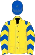 Yellow, royal blue epaulets, royal blue and yellow chevrons on sleeves, royal blue cap