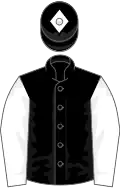 Black, white sleeves, black cap, white diamond