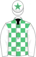 White and emerald green check, white sleeves, emerald green star on cap