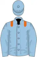Light blue, orange epaulets