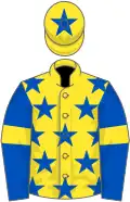 Yellow, royal blue stars, royal blue sleeves, yellow armlets, yellow cap, royal blue star