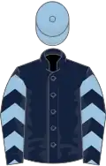 Dark blue, light blue chevrons on sleeves, light blue cap