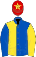 Royal blue and yellow (halved), sleeves reversed, red cap, yellow star