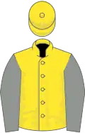 Yellow, grey sleeves