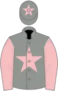 Grey, pink star and sleeves, pink star on cap