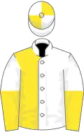 White and yellow (halved), halved sleeves, quartered cap