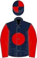 Dark blue, red disc and sleeves, quartered cap