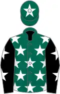 Dark green, white stars, black sleeves, white stars, dark green cap, white star