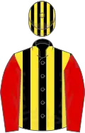 Black and yellow stripes, red sleeves