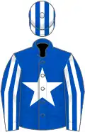 Royal blue, white star, striped sleeves and cap