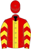 Red, yellow stripe, chevrons on sleeves