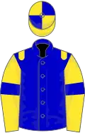 Blue, yellow epaulets, yellow sleeves, blue armlets, quartered cap