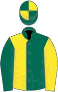 Dark green and yellow (halved), sleeves reversed, dark green and yellow quartered cap