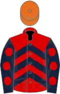 Red, dark blue chevrons, dark blue sleeves, red spots, orange cap