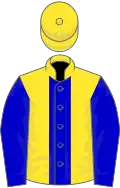 Yellow, blue stripe and sleeves