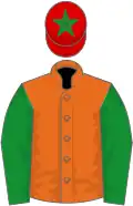 Orange, green sleeves, red cap, green star