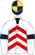 WHITE and RED CHEVRONS,white sleeves,dark blue armlets,dark blue and yellow quartered cap